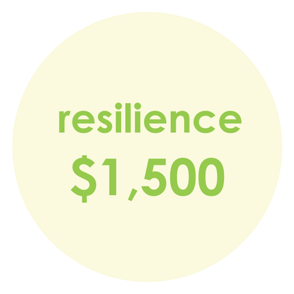 Resilience sponsor