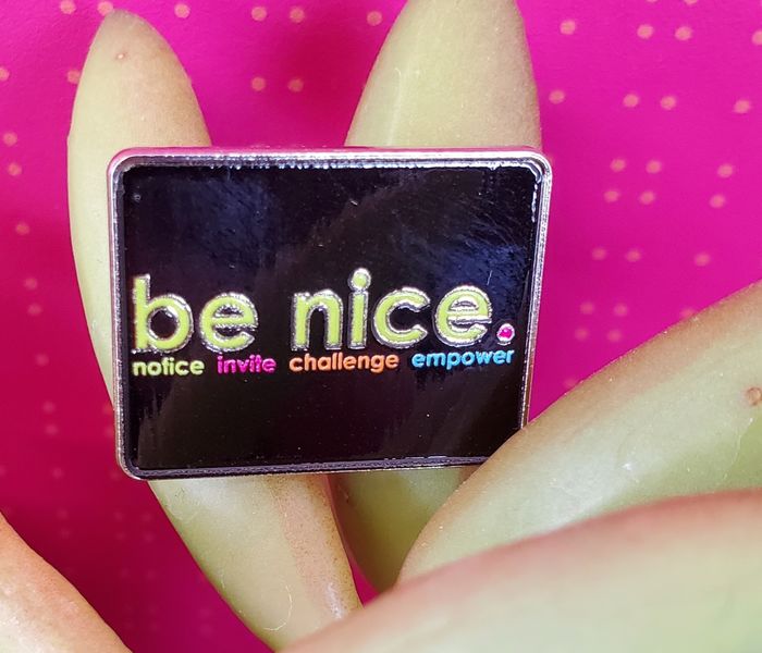 be nice. Lapel Pin